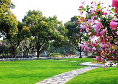 å­¦æ ¡é£æ¯