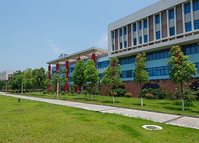 公办学校