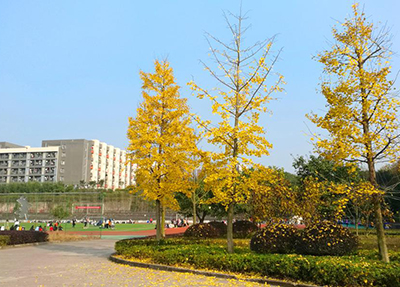 重庆高等专科学校周边环境