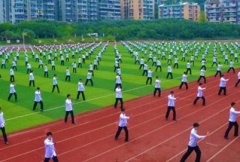 沪指八连阳共振，多方力量共舞升势