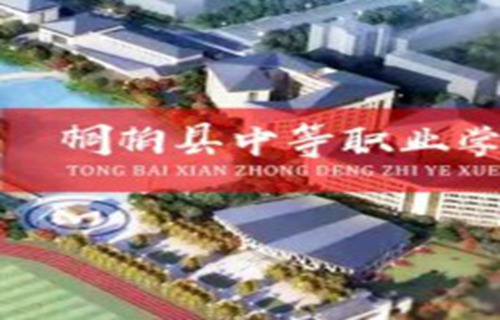 桐柏中等职业学校