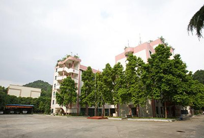 重庆市南丁卫生职业学校师资结构