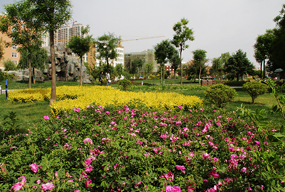 陇东学院