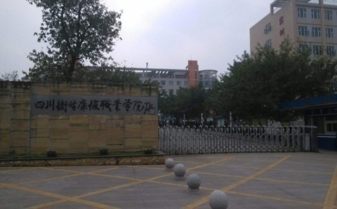 四川卫生康复职业学院2022年有哪些专业
