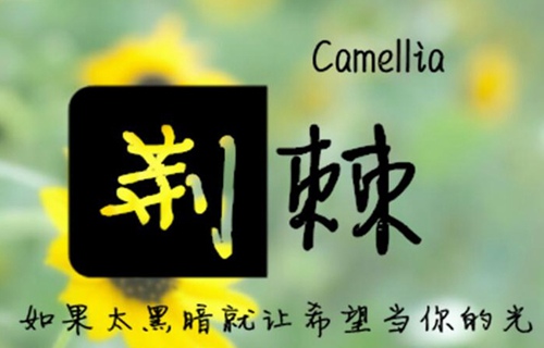 威宁县计算机学校