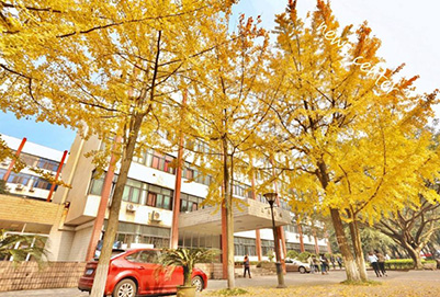 2019年重庆渝中高级职业学校计算机网络技术专业招生介绍
