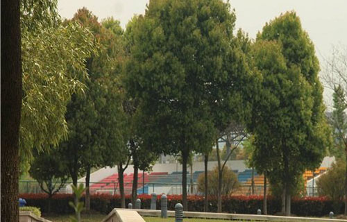 无锡曙光技工学校