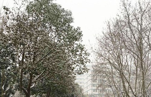 连云港大港高级职业中学