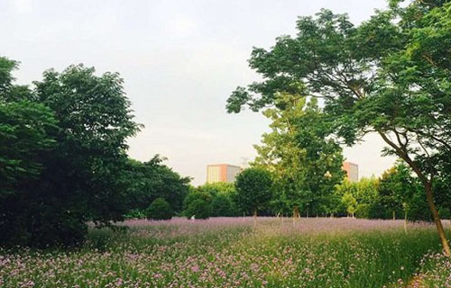 宿迁高等师范学校