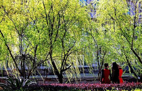 江西外语外贸职业学院