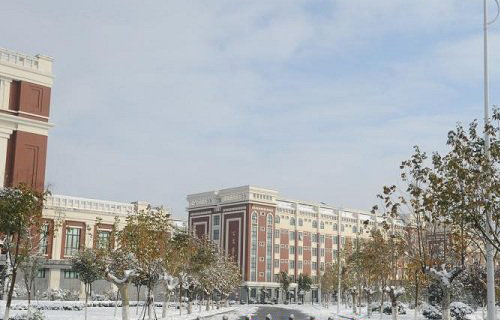 沙洲职业工学院