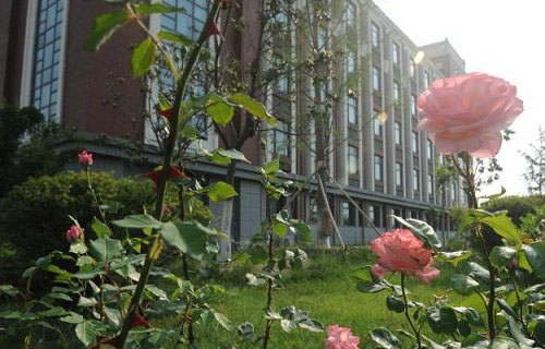 炎黄职业技术学院
