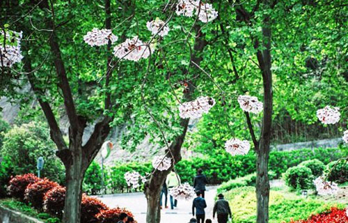 南京机电职业技术学院
