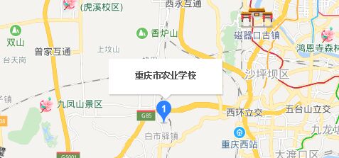 1554773698238660.jpg