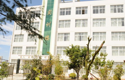 云南三鑫职业技术学院五年制大专2021年学费。收费多少