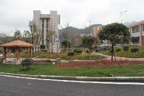 iZNcylw2QM-OFyHYliCwDA.jpg_290xa.jpg