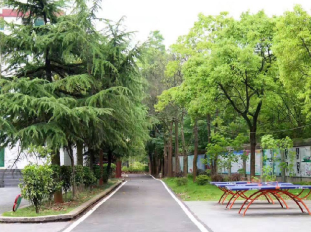 长沙科技工程学校环境
