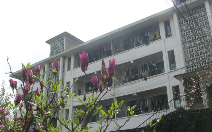 湘西旅游学校