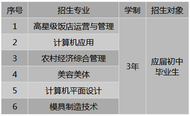 益阳市四通电脑中等专业学校招生专业