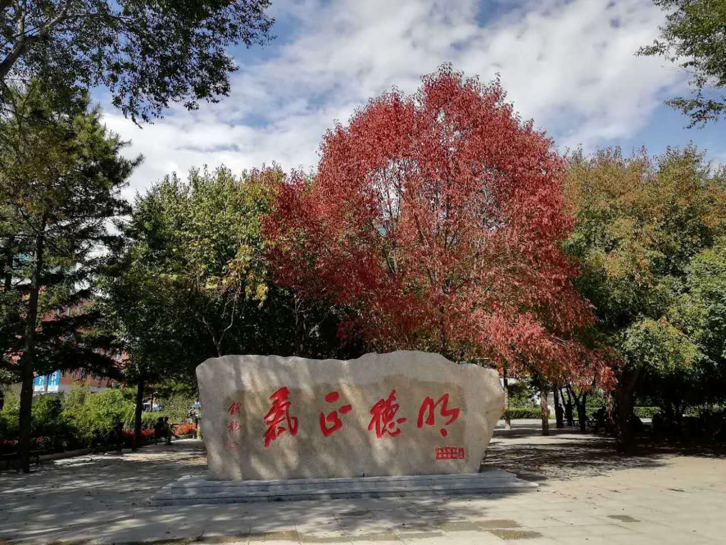 长春职业技术学校学费、大概收费是多少