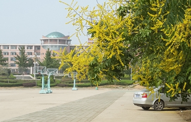 百色市民族卫生学校