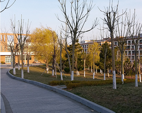 武威卫生学校