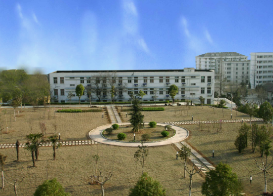 桂平市艺术学校
