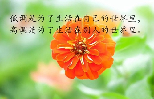 灵武艺术设计学校