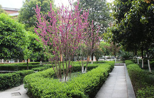 学校环境