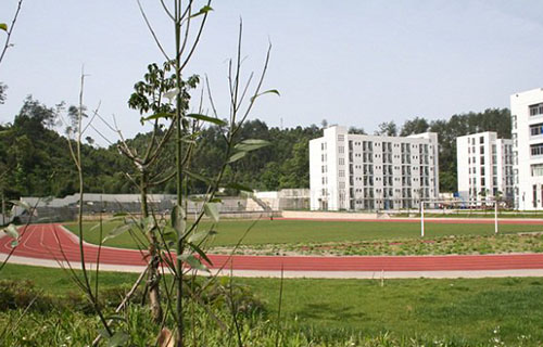 学校操场