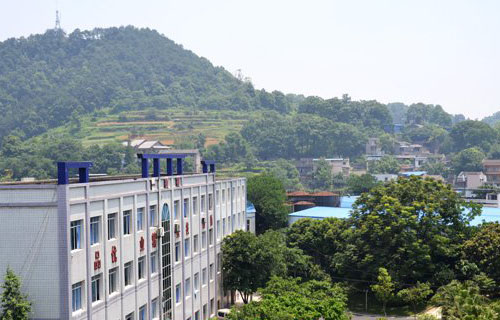 校园一角