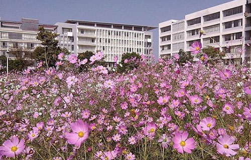学校风景