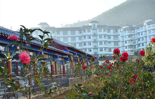 校园景色