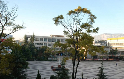 校园景色