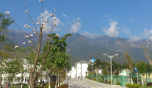 大理农林职业技术学院