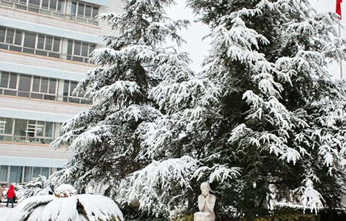 校园雪景