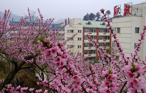 校园春色