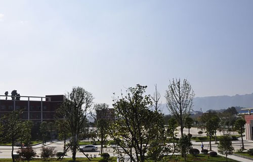 校园景色