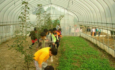 云南省园艺场学校