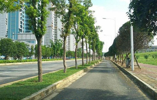 学校环境
