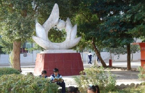 学生风采