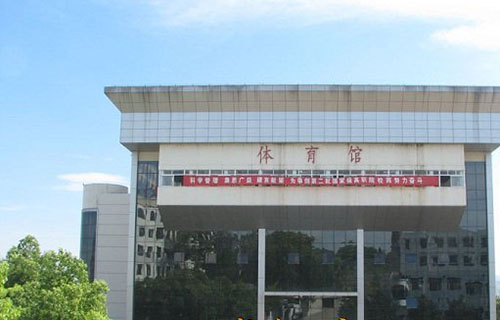 体育馆
