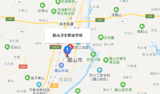 眉山卫生职业学校地址