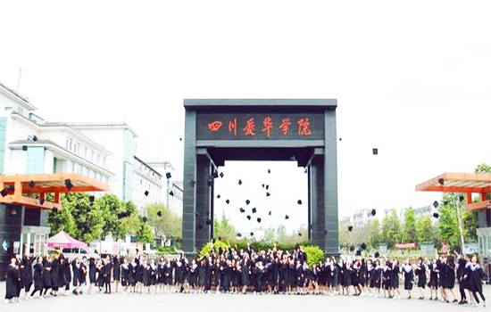 四川爱华学院是公办还是民办