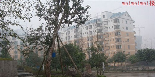 重庆市垫江县职业教育中心图片、照片