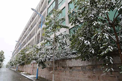 重庆市荣昌区职业教育中心图片、照片