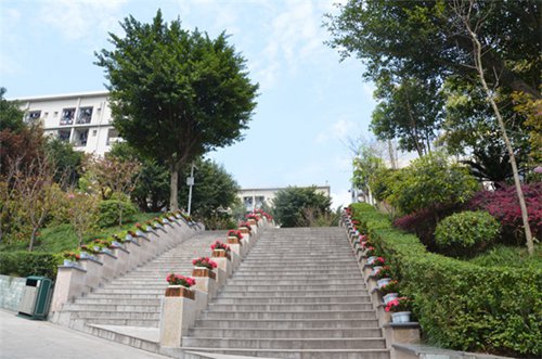 四川仪表工业学校图片、照片