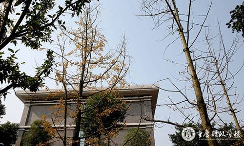 重庆财政学校运动场
