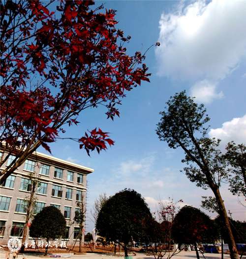 重庆财政学校运动场