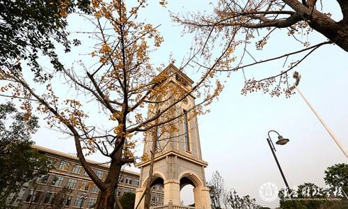 重庆财政学校运动场